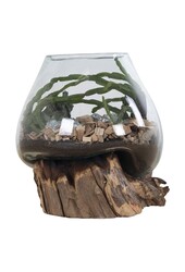 San Marino Waterdrop - Natur, Teakholz/Glas/Stahl, 18x20x20 cm
