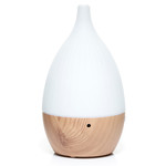 Eden geurolie Eden Radiance Nauwe Nek Kleurveranderende USB Aroma Diffuser 100ml