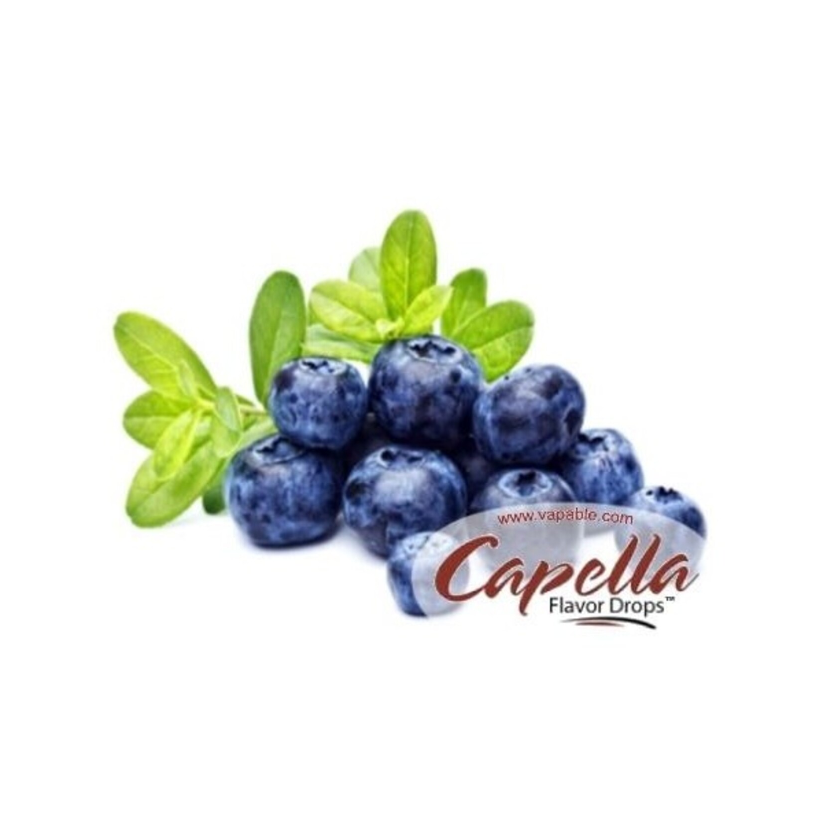 capella Capella  Blueberry