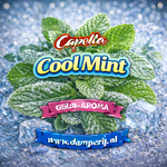 Capella Capella cool Mint 30 ml aroma