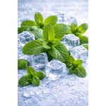 oil4vap Oil4vap aroma Yondw 30 ml