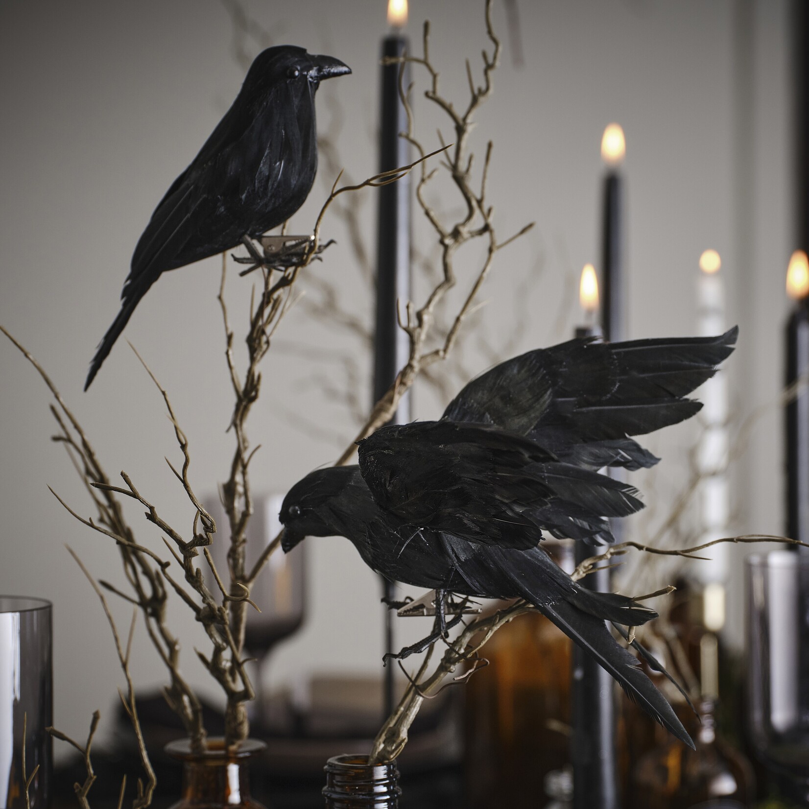 Ginger Ray BLACK CROW HALLOWEEN DECORATIE