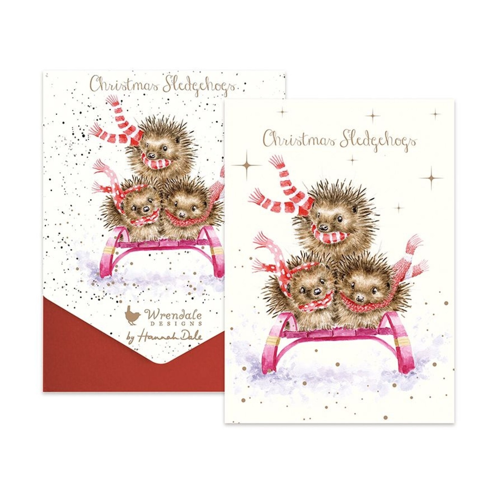 Wrendale HEDGEHOGS BOXED CARDS - SLEDGEHOGS