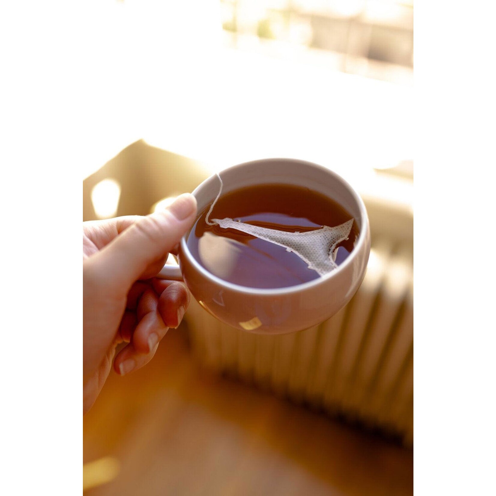 TEA HERITAGE THEEZAKJES- EIFELTOREN X5 - ZWARTE THEE ENGLISH BREAKFAST