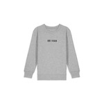 KLEIR SWEATER DOEDISKALM GRIJS 7-8