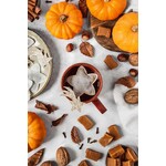 TEA HERITAGE THEEZAKJES- STER X5 PUMPKIN CHAI
