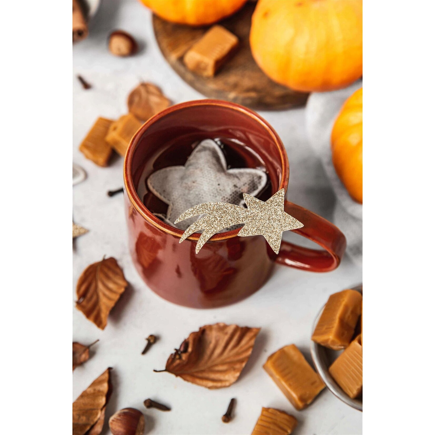 TEA HERITAGE THEEZAKJES- STER X5 PUMPKIN CHAI