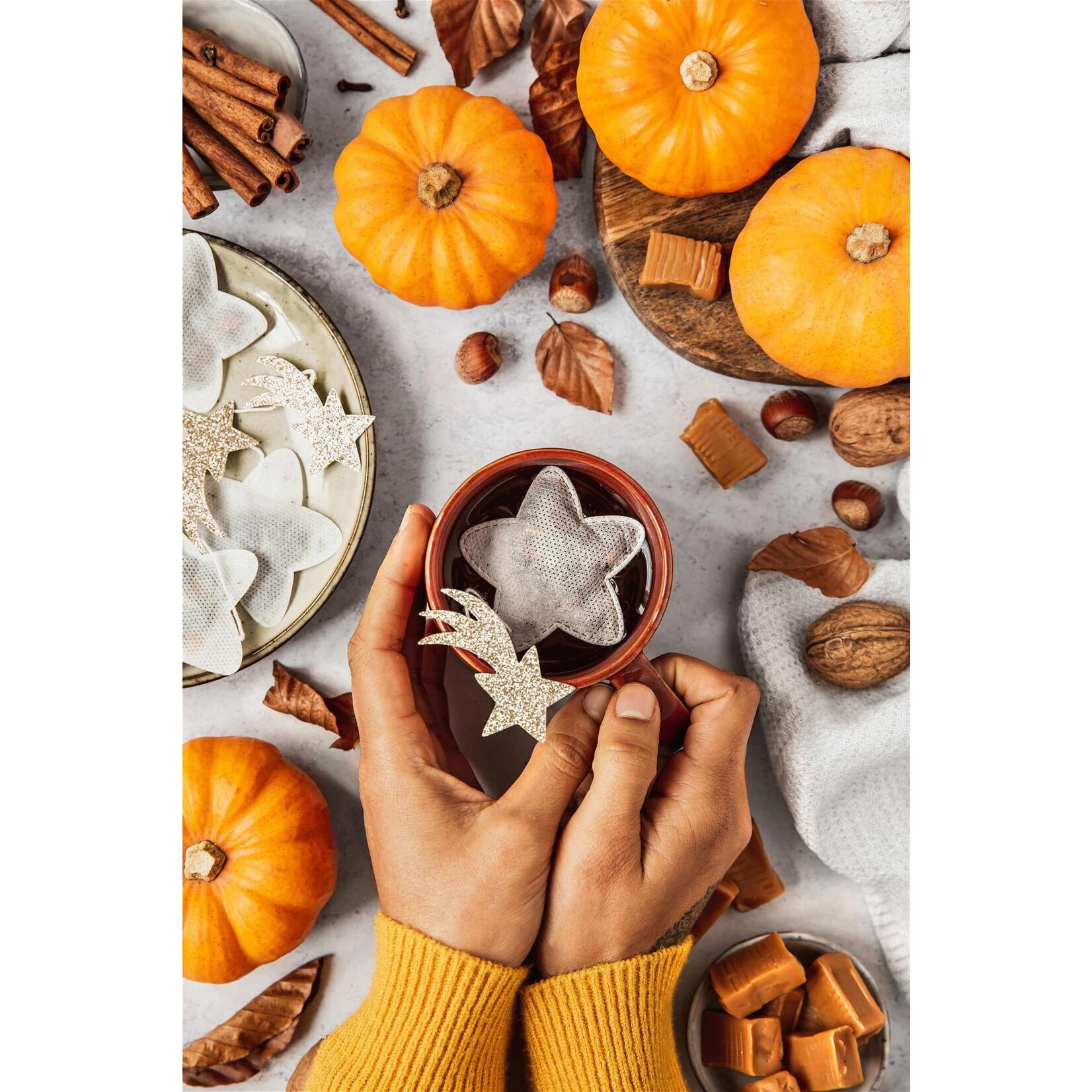 TEA HERITAGE THEEZAKJES- STER X5 PUMPKIN CHAI