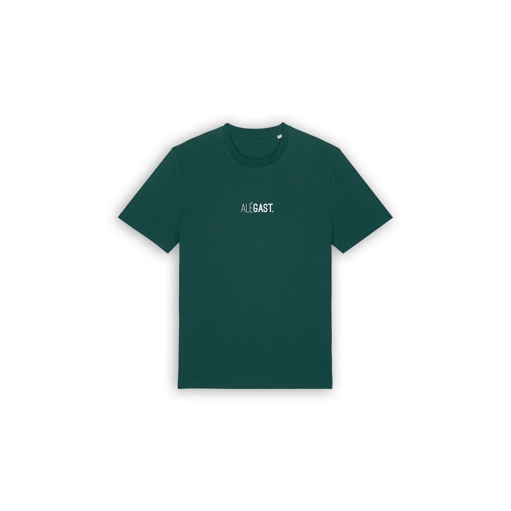 KLEIR T-SHIRT ALEGAST GROEN XXL