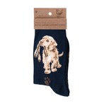 Wrendale SOKKEN HOND - HOPEFUL - NAVY