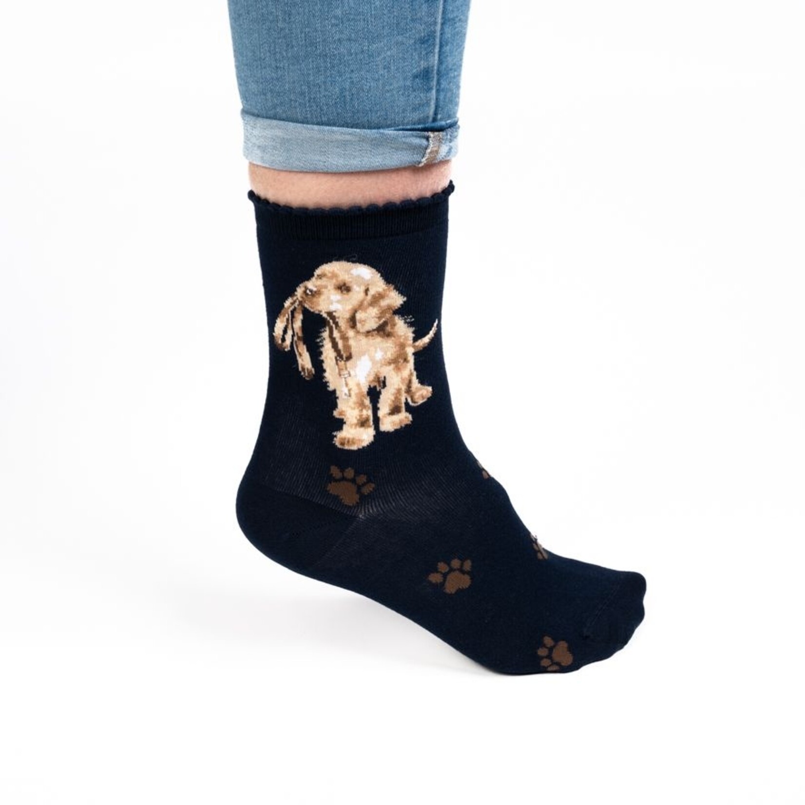 Wrendale SOKKEN HOND - HOPEFUL - NAVY