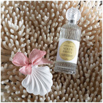 Mathilde M Geursteentje Schelp Soleil Pastel Groot