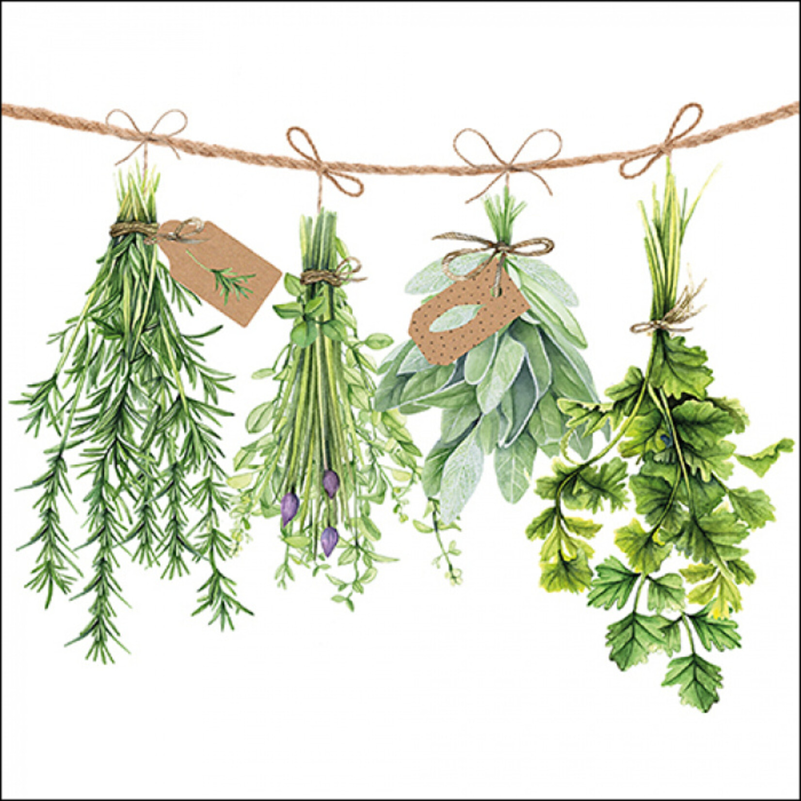 ambiente europe SERVET FRESH HERBS 33X33