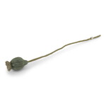 GRY & SIF POPPY SEED HEAD