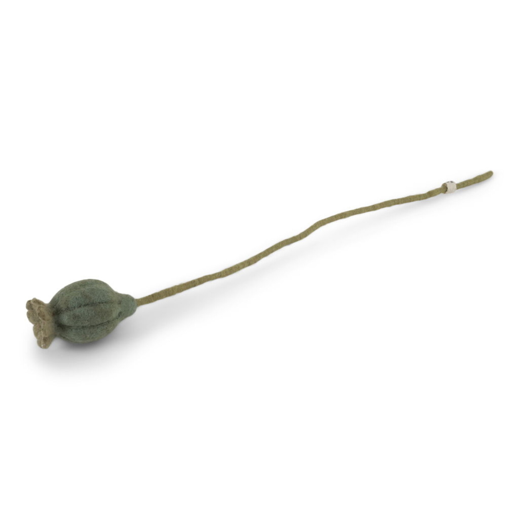 GRY & SIF POPPY SEED HEAD