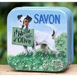 LA TULIPE JAUNE BLIKJE NOSTALGIE MET ZEEP JACK RUSSEL
