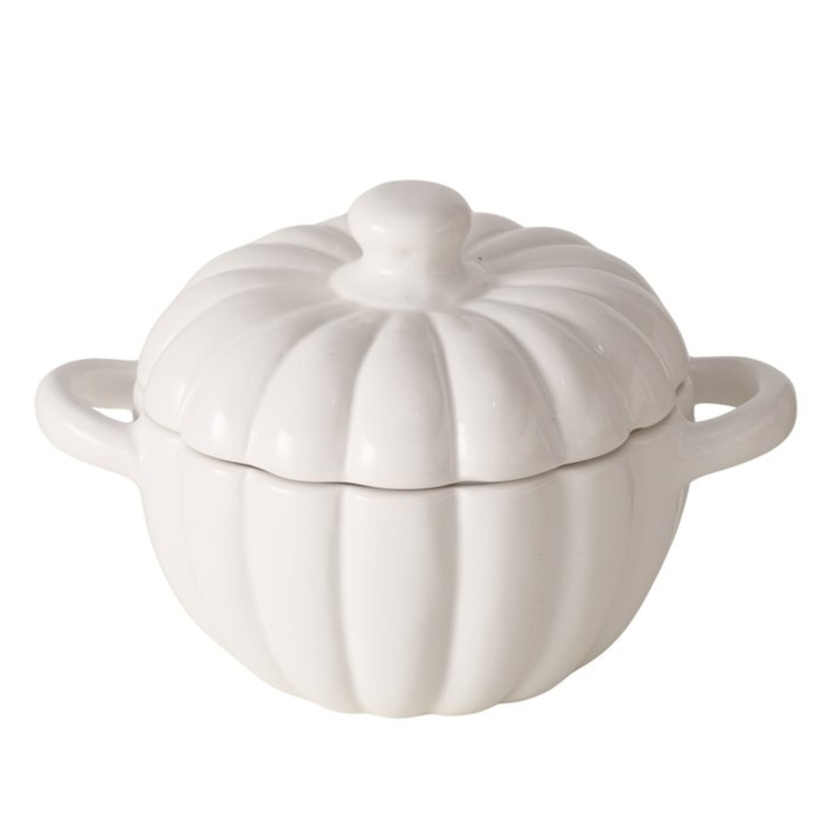 POMPOEN TERRINE TRAMO  WIT