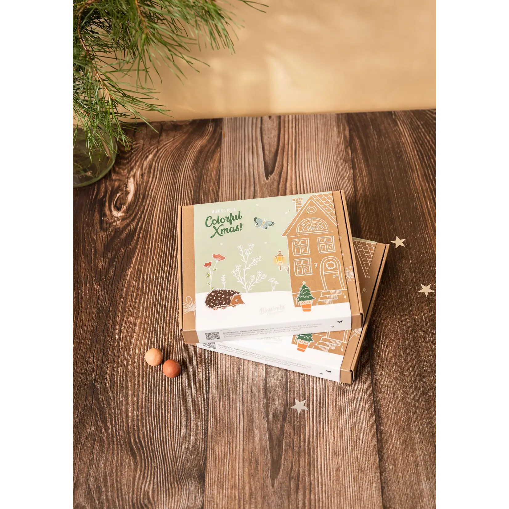 BLOSSOMBS GIFT BOX MEDIUM XMAS GARDEN