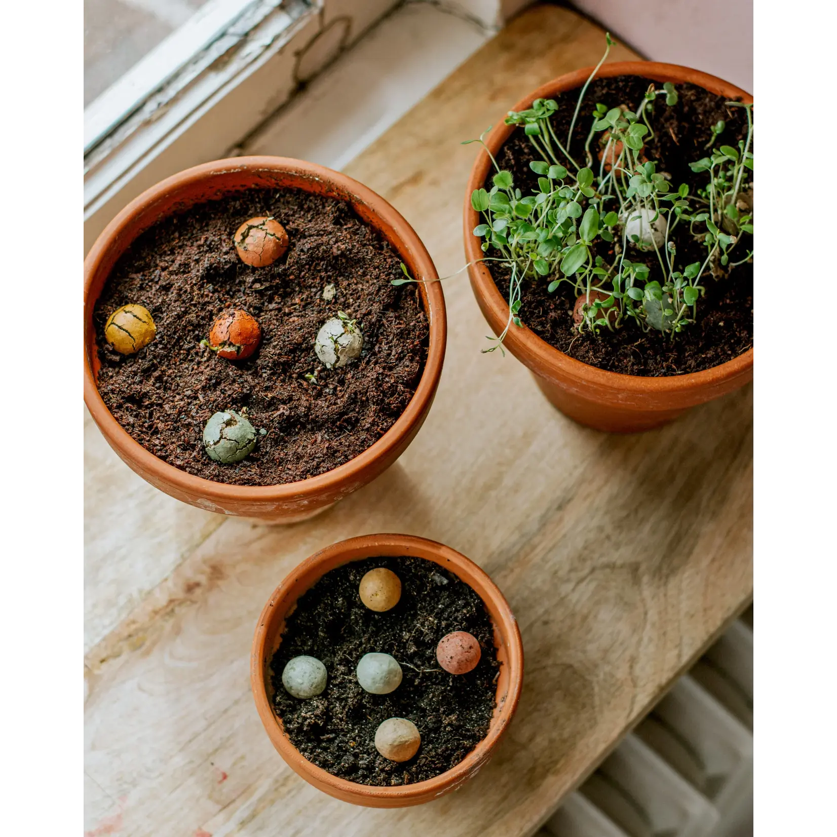 BLOSSOMBS GIFT BOX MEDIUM XMAS GARDEN