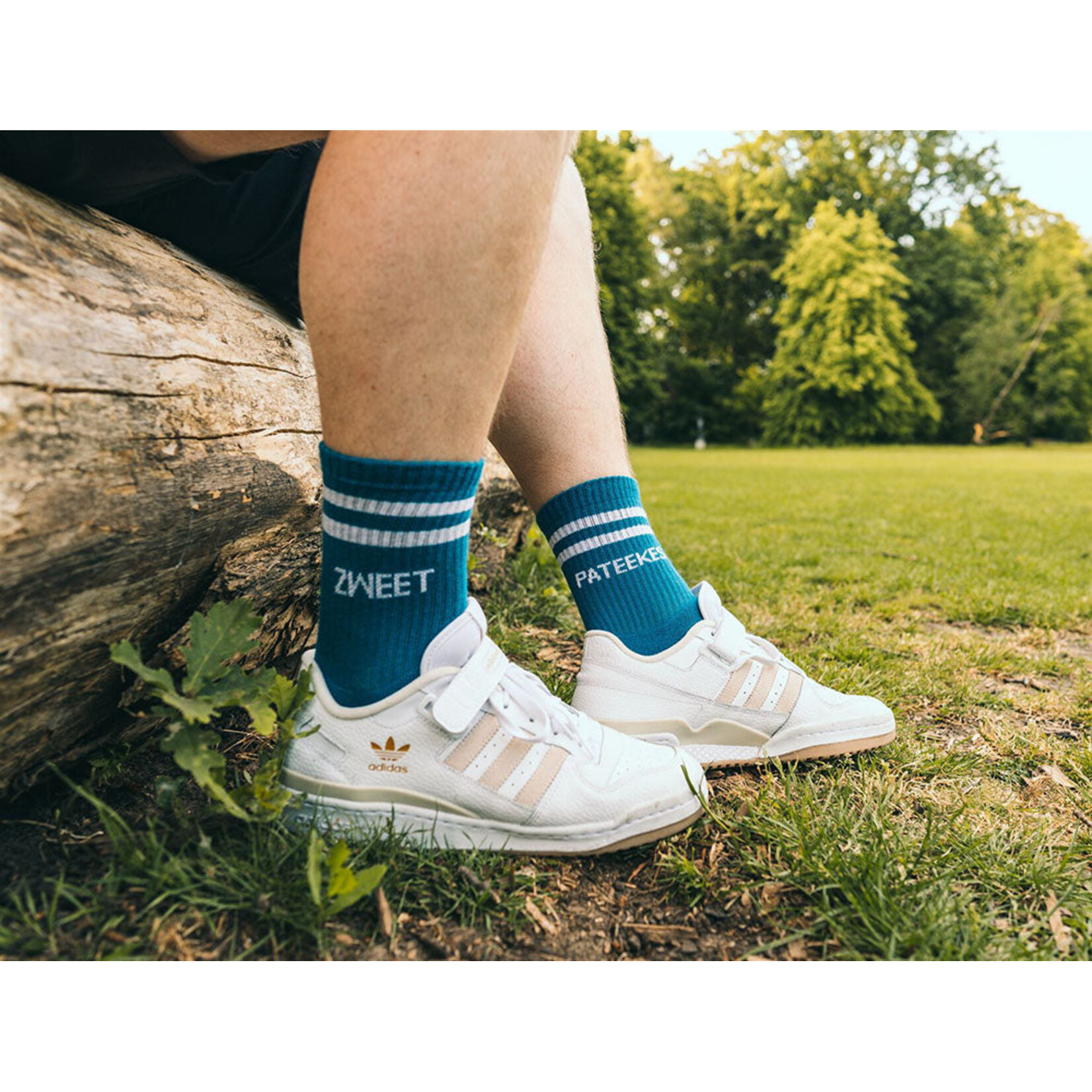 KLEIR SOKKEN ZWEET PATEEKES 43-46