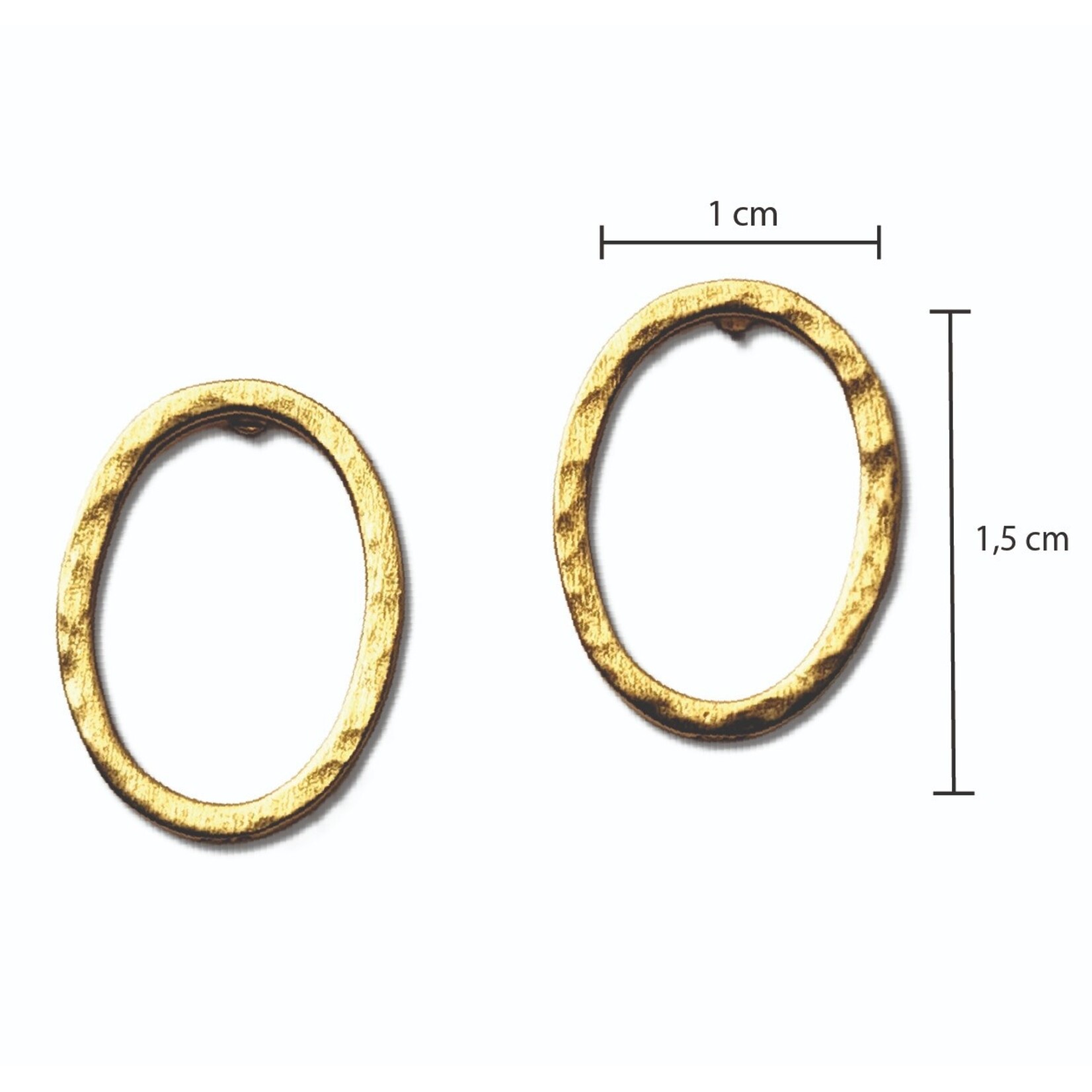 Oorbellen OVAL CIRCLE GOUD