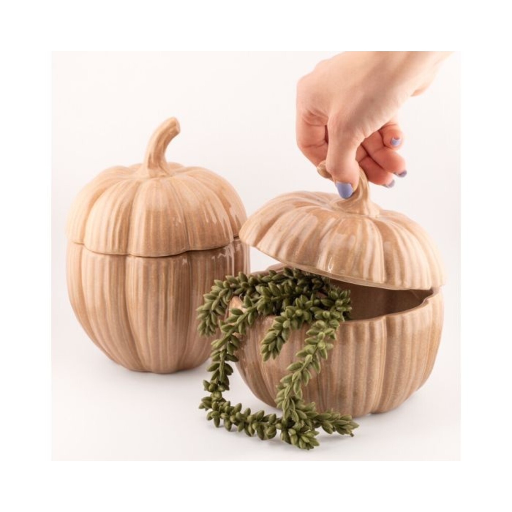 Opbergbakje Pompoen Gourd Beige