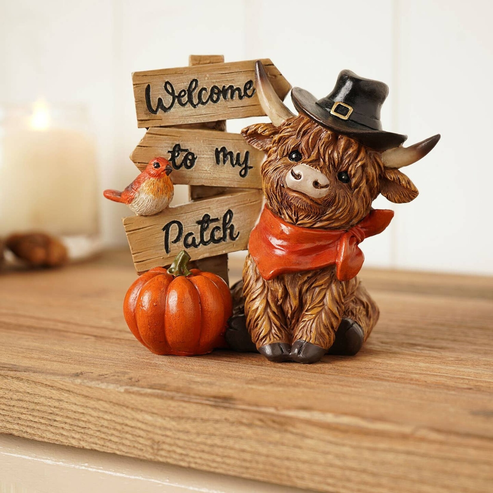 WIDDOP Widdop Country Living Highland Cow Welcome to my Patch 12 cm