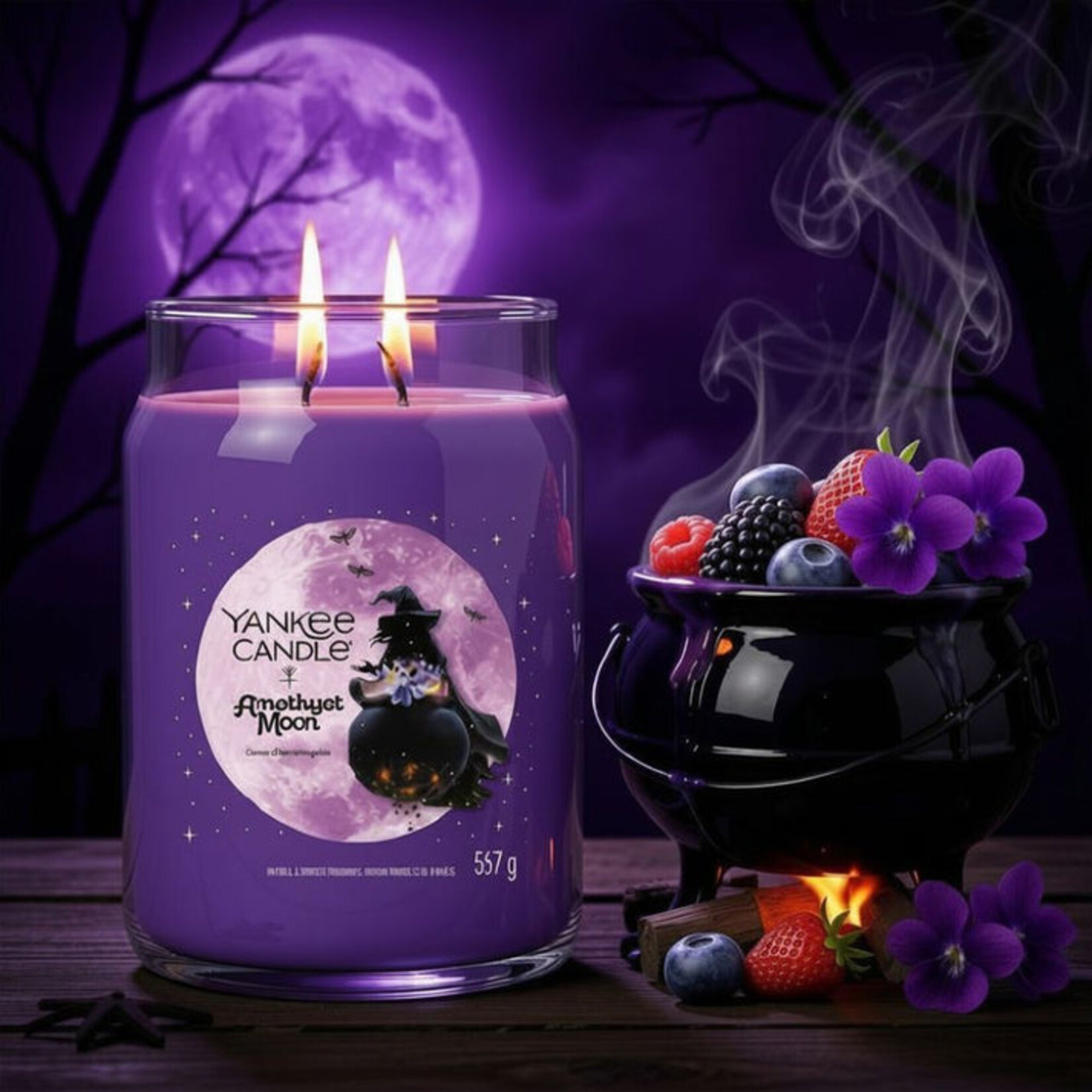YANKEE CANDLE Geurkaars Amethyst Moon Signature Large Jar 567 g