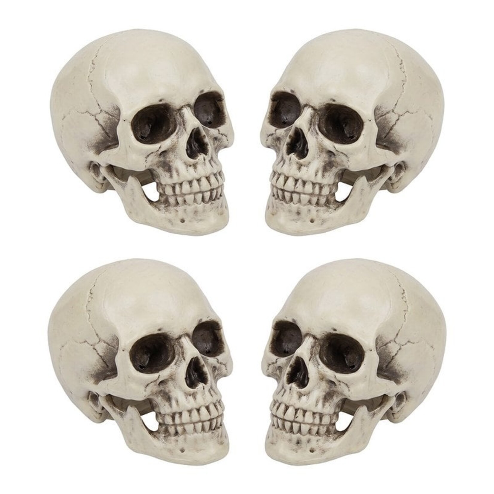 Clayre & Eef Halloween Decoratie Schedel Wit/Bruin 14 cm