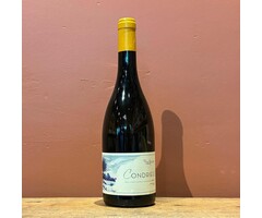 Pierre Gaillard Condrieu 2022