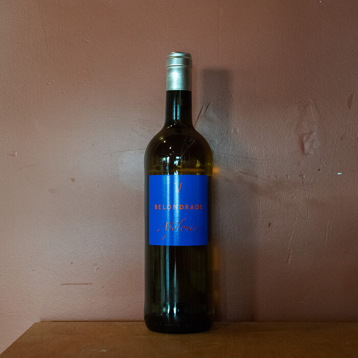 Belondrade Quinta Apolonia 2024