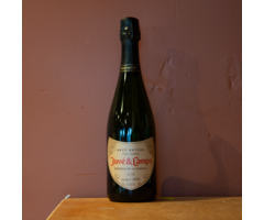 Juvé & Camps Reserva de la Familia (Brut Nature)