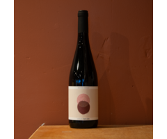 Sophie Schaal Pinot Noir