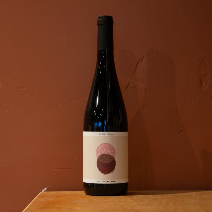 Sophie Schaal Pinot Noir 2024