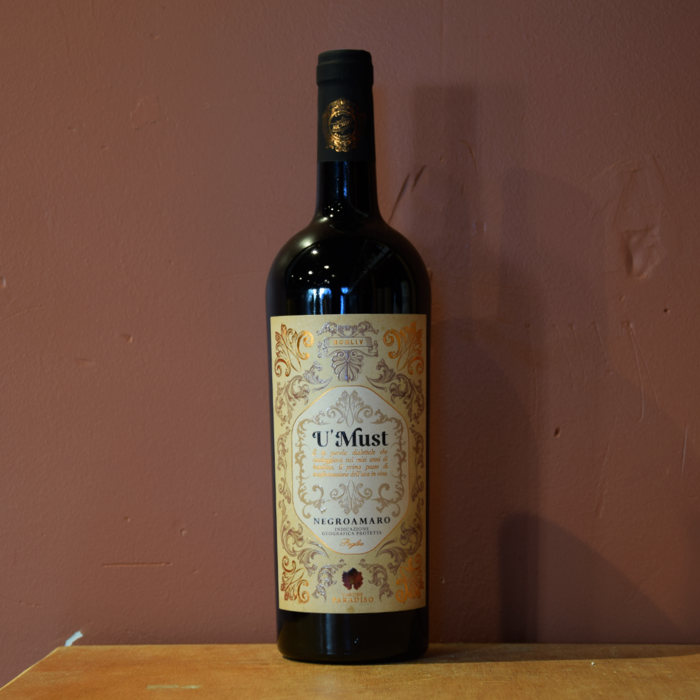 Paradiso Mast Negroamaro 2022