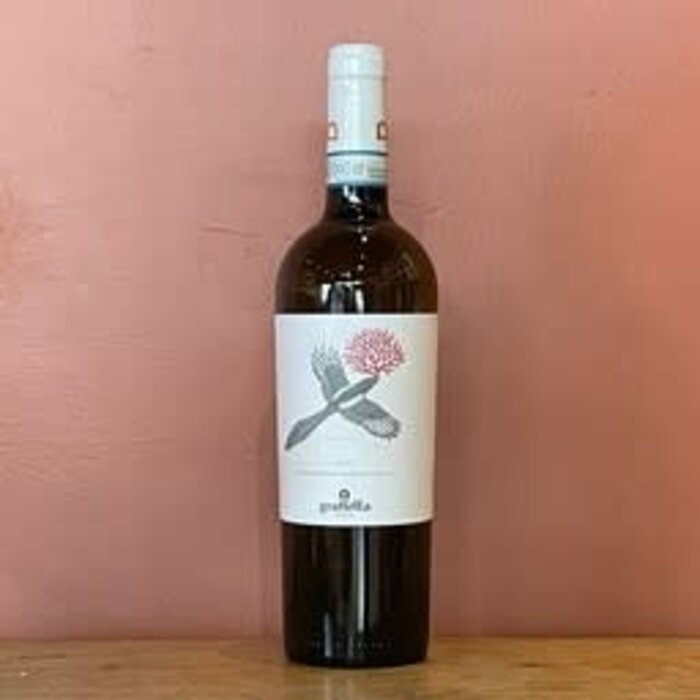 Grafetta Grillo 2024