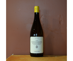 Foradori Manzoni Bianco 2022