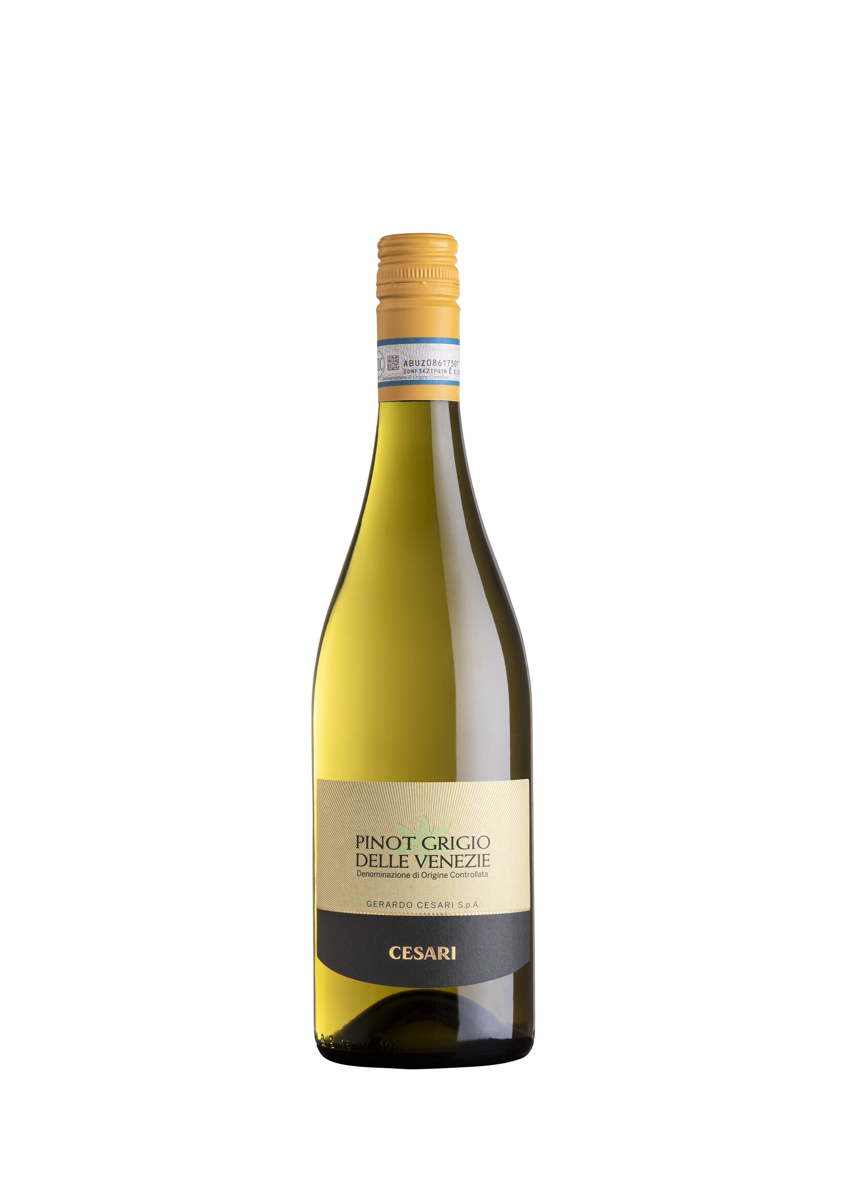 Cesari Pinot Grigio delle Venezie