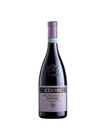 Cesari Valpolicella Ripasso Superiore