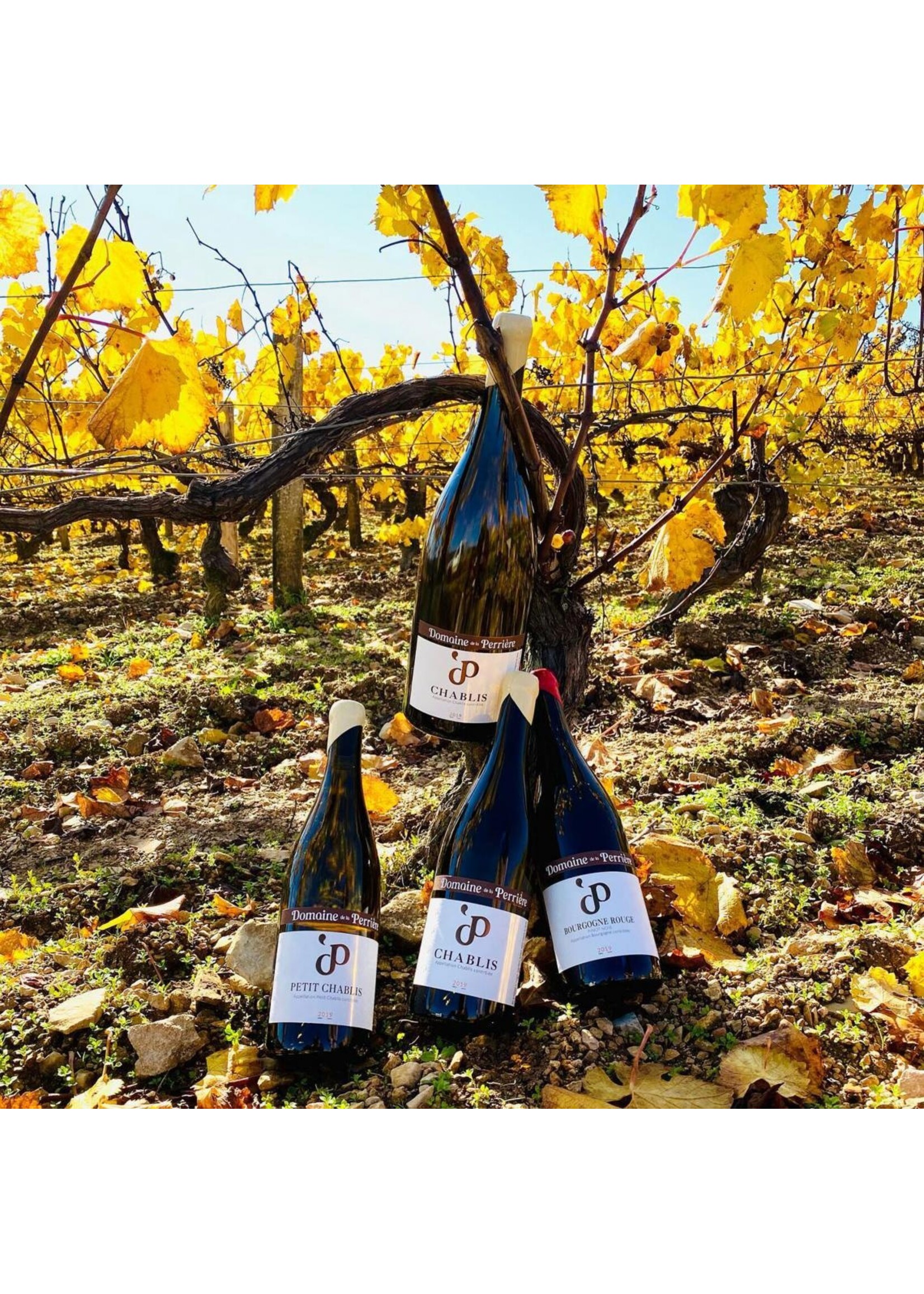 Domaine de la Perrière Chablis