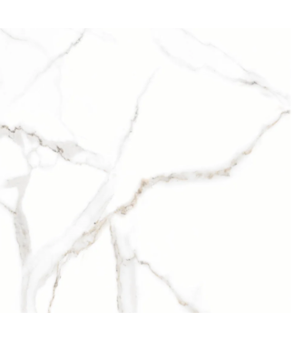 Marble White 60x60cm Vloertegel