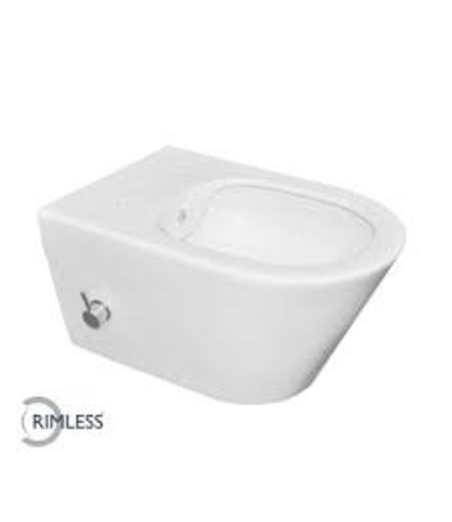 Losse bidet knop koud voor Luxe rimless wandcloset met ingebouwde bidetkraan