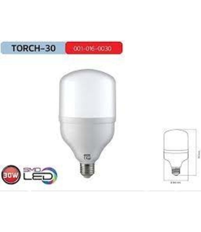 Horoz Torch-30 30w Led Lamp