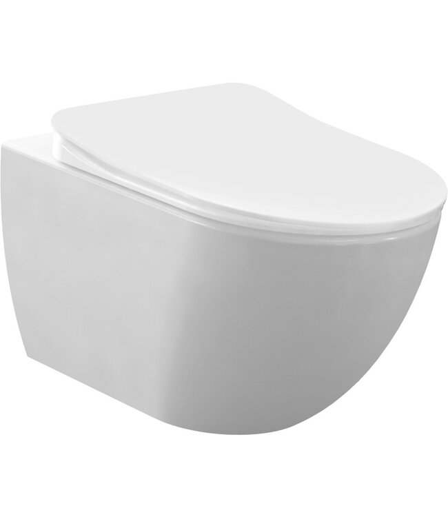 DESIGN OPHANG WC MET RVS SPROEIER (BIDET). MAT WIT