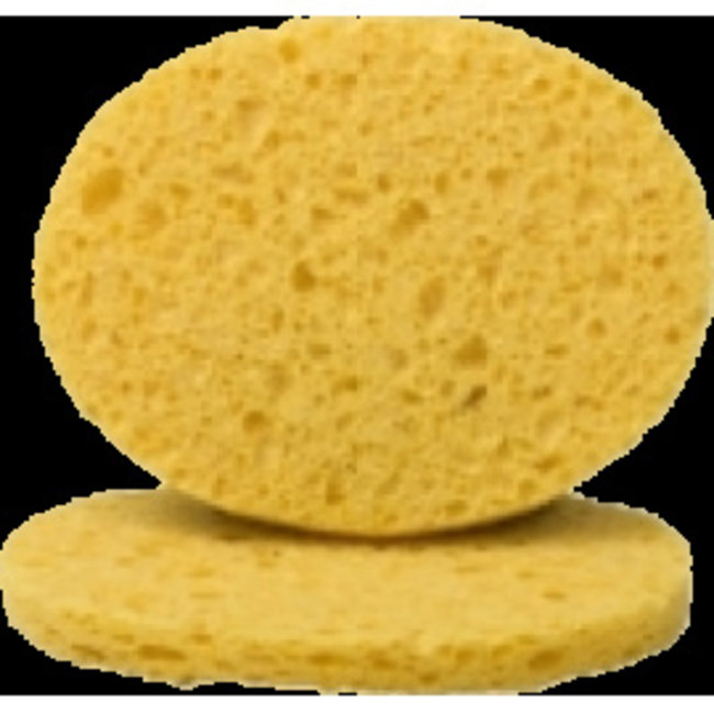 XANITALIA CELLULOSE SPONS 2 STUKS