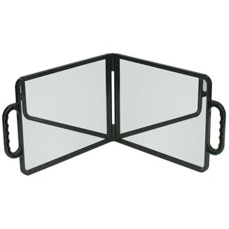 SIBEL 2D Mirror