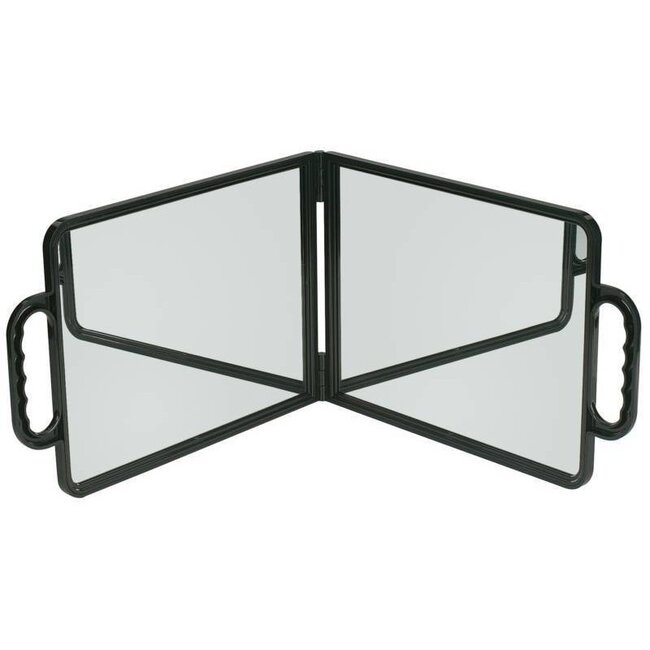 SIBEL 2D Mirror