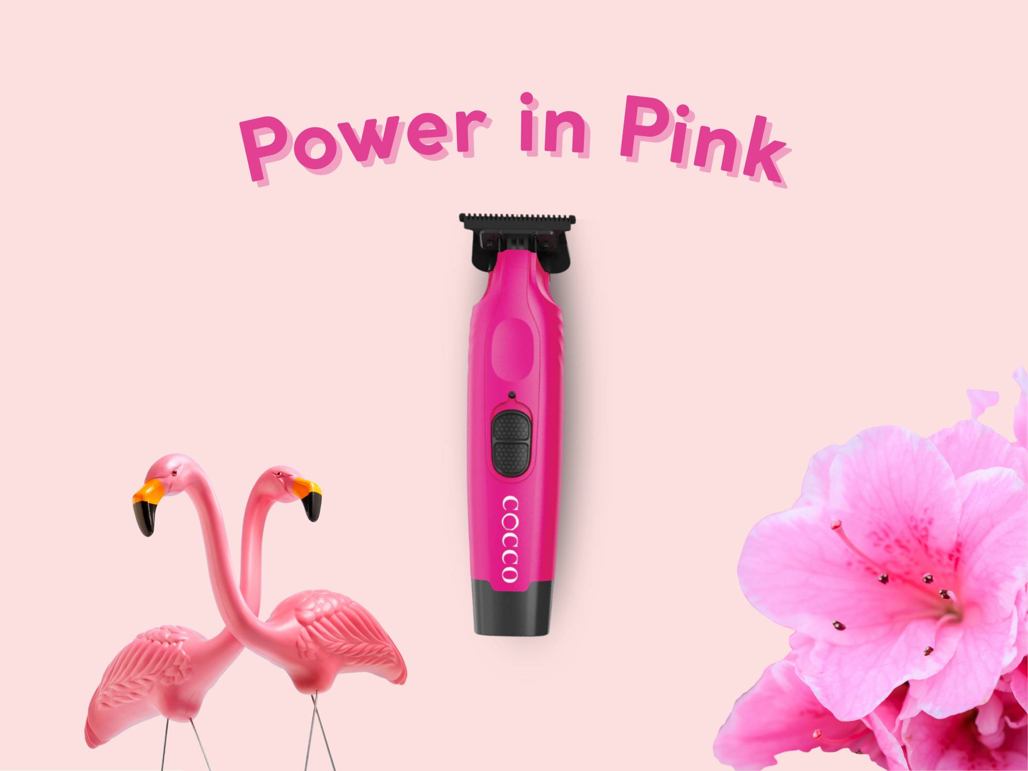 COCCO LIMITED EDITION