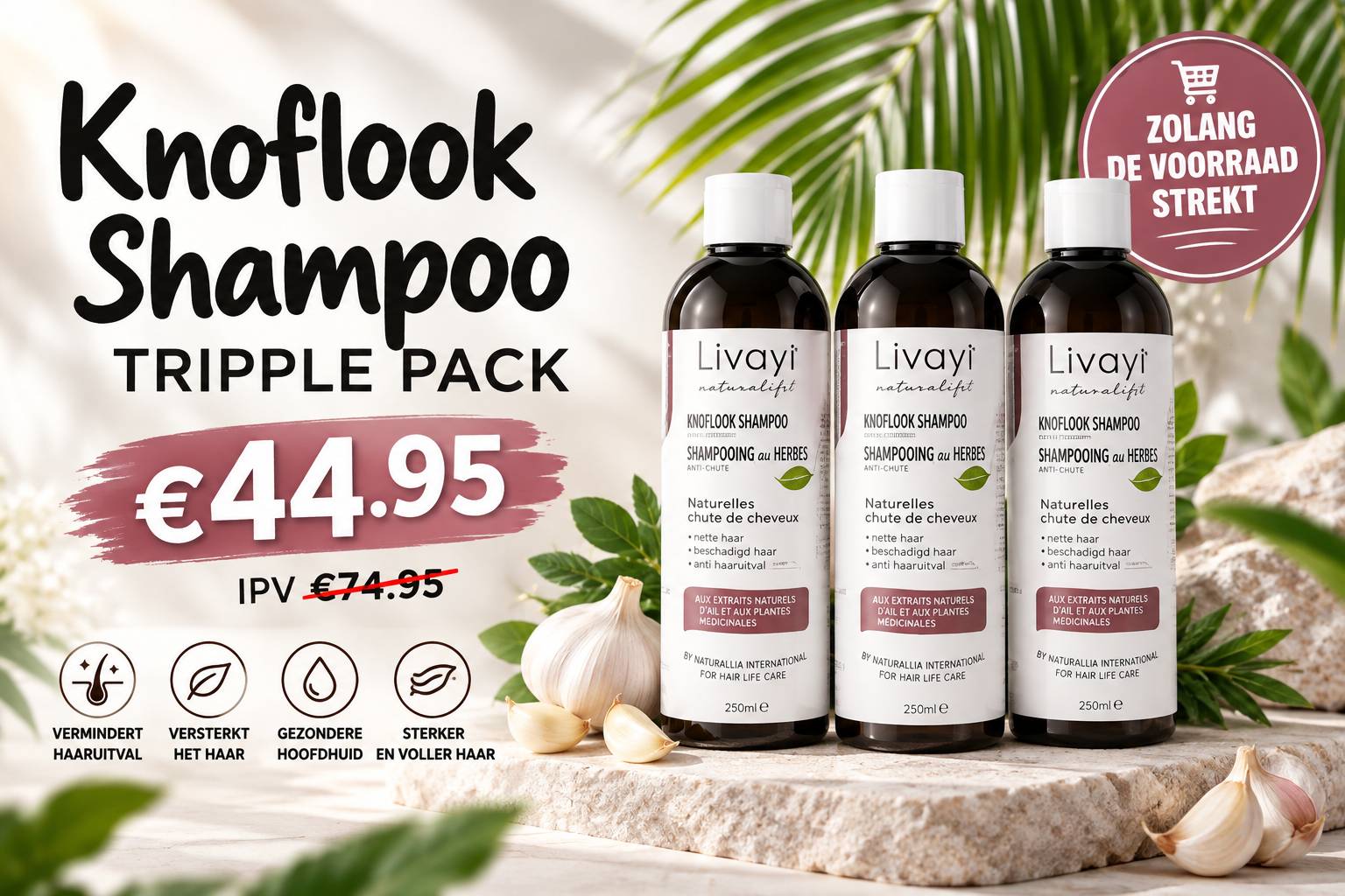 KNOFLOOK AANBIEDING