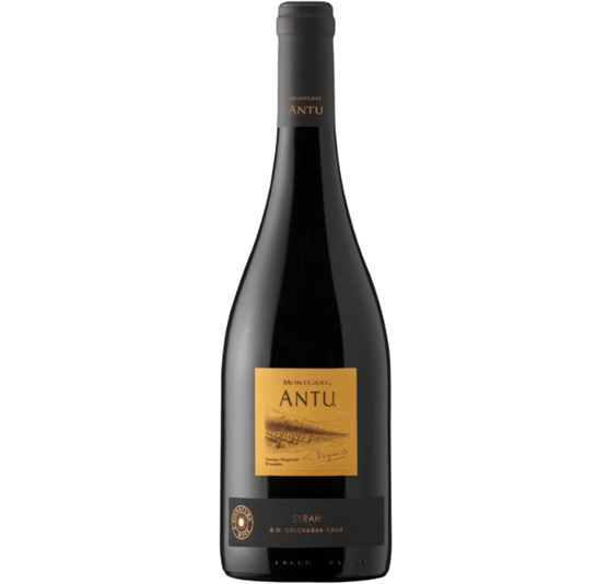 Montgras Antu Syrah 2021